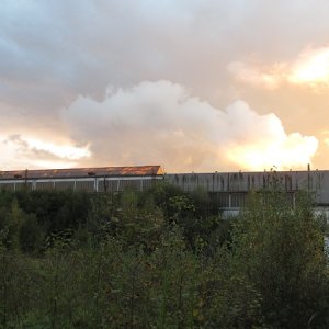 IMG_4770.jpg