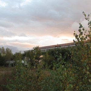 IMG_4773.jpg