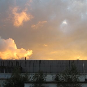 IMG_4775.jpg