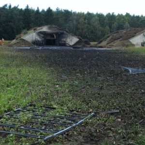 eine-brandschneise-von-ueber-100-meter-laenge-hint_full.jpg