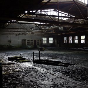Halle.jpg