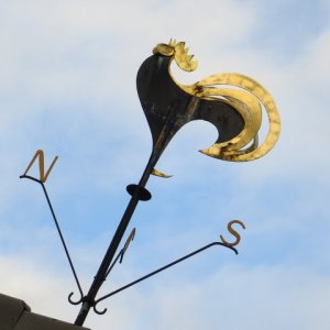 IMG_3582.JPG