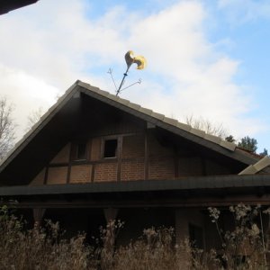 IMG_3581.JPG
