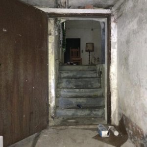 IMG_8604.JPG