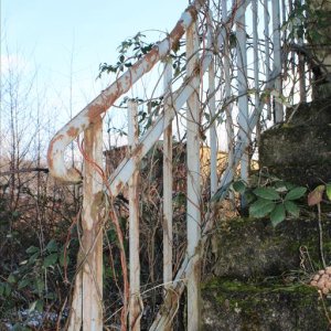 IMG_0168 (Copy).jpg