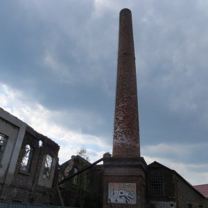 IMG_5142.JPG
