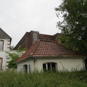 IMG_6179.JPG