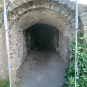 CIMG3134.JPG