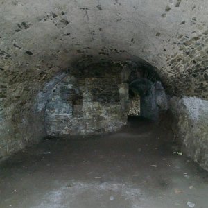 CIMG3135.JPG