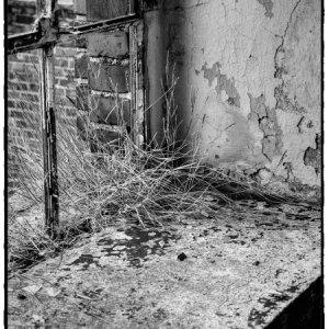 DSCF4320_Enhancer_Fotorx.jpg