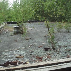HPIM1188.JPG