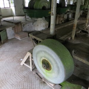 IMG_2536.JPG