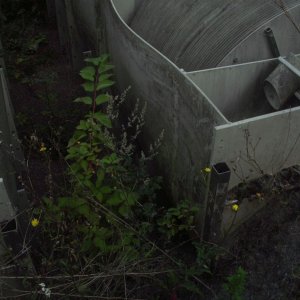 HPIM1106.JPG