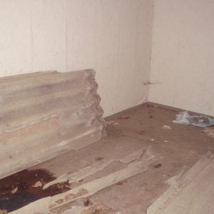 HPIM1031.JPG