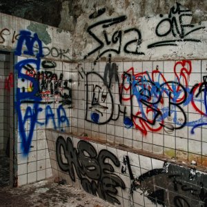 DSC_2341b.jpg