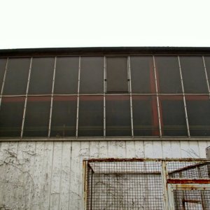 Monte F10.jpg