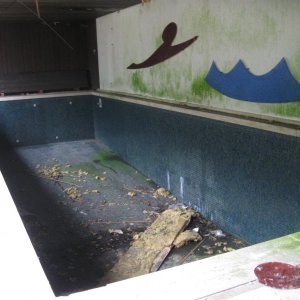 IMG_1953.JPG