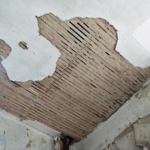 DSCF4572.JPG