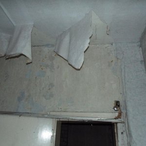 DSCF4567.JPG