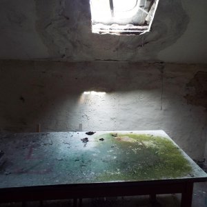 DSCF4583.JPG