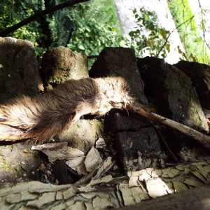 DSCF4577.JPG