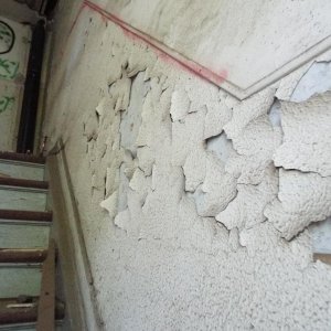 DSCF4608.JPG
