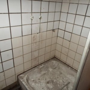 DSCF4617.JPG