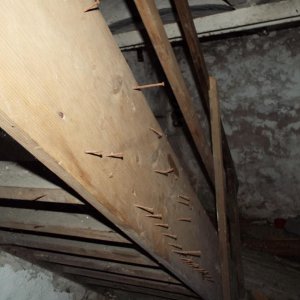 DSCF4614.JPG