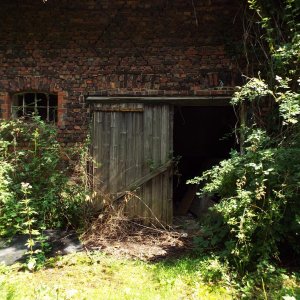 DSCF4661.JPG