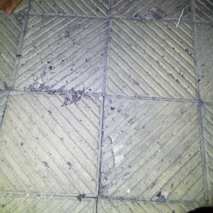 DSCF6958.JPG