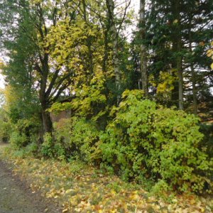 Bild 029.jpg