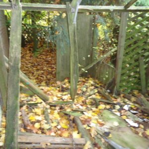 Bild 044.jpg