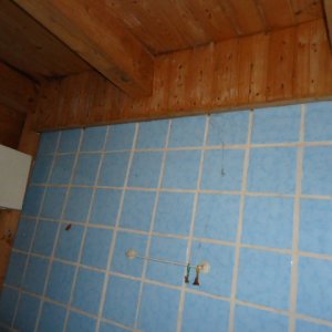 Bild 047.jpg