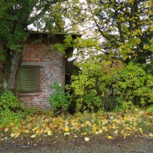 Bild 049.jpg