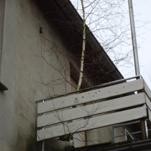 Bild 073.jpg