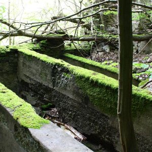 Fabrik im Wald10 (Small).JPG