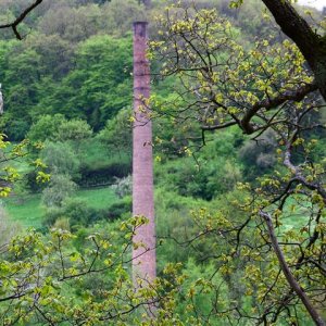 Fabrik im Wald13 (Small).JPG