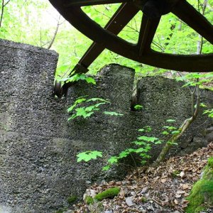 Fabrik im Wald22 (Small).JPG