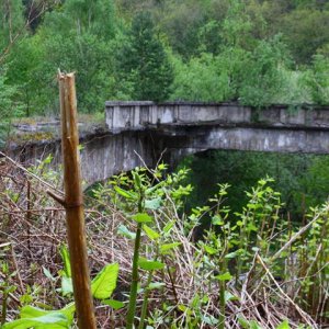 Fabrik im Wald32 (Small).JPG