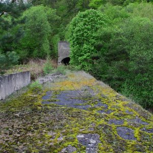 Fabrik im Wald40 (Small).JPG