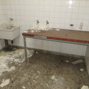 IMG_9805.JPG