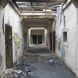 IMG_9883.JPG