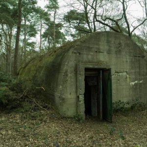 Bunker2.jpg