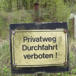IMG_4418.JPG