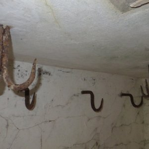 IMG_4281.JPG
