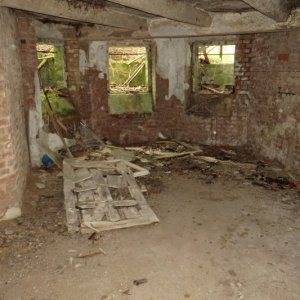 IMG_4568.JPG