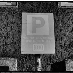 DSCF9976_Enhancer_Fotorx.jpg