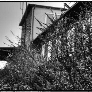 DSCF9984_Enhancer_Fotorx.jpg