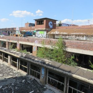 IMG_5976.JPG