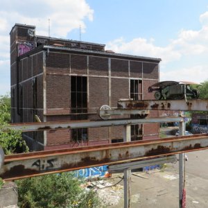 IMG_5933.JPG
